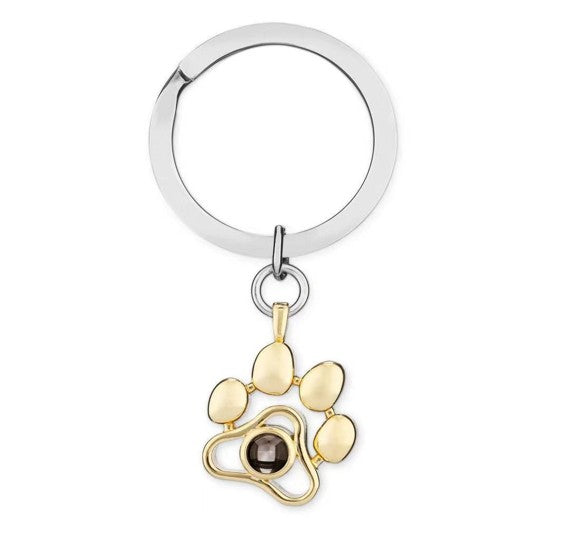 Hidden Memory Projection Silver Medal– Pet Keepsake Gift